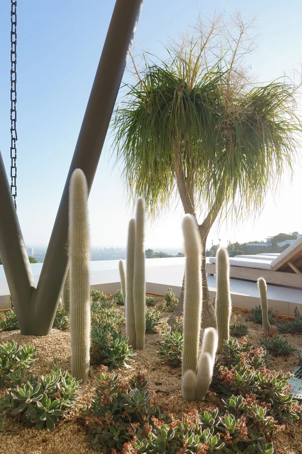 Zack Freedman Landscape   Los Angeles   Panorama 02